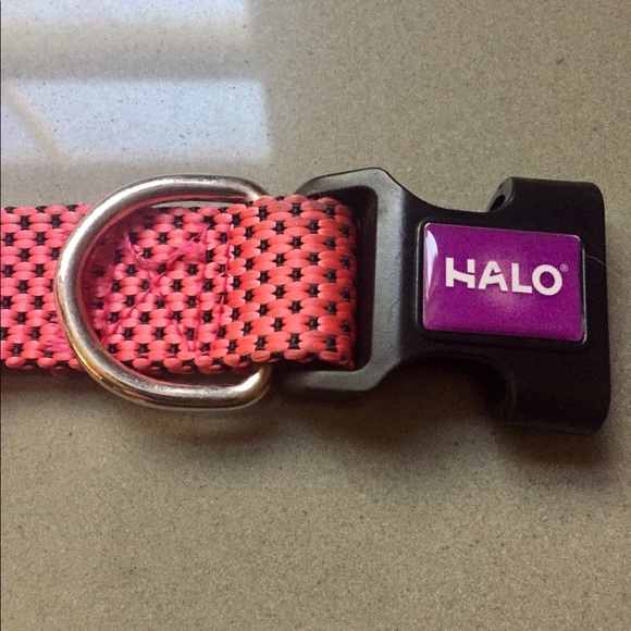HALO Other - HALO - DOG COLLAR